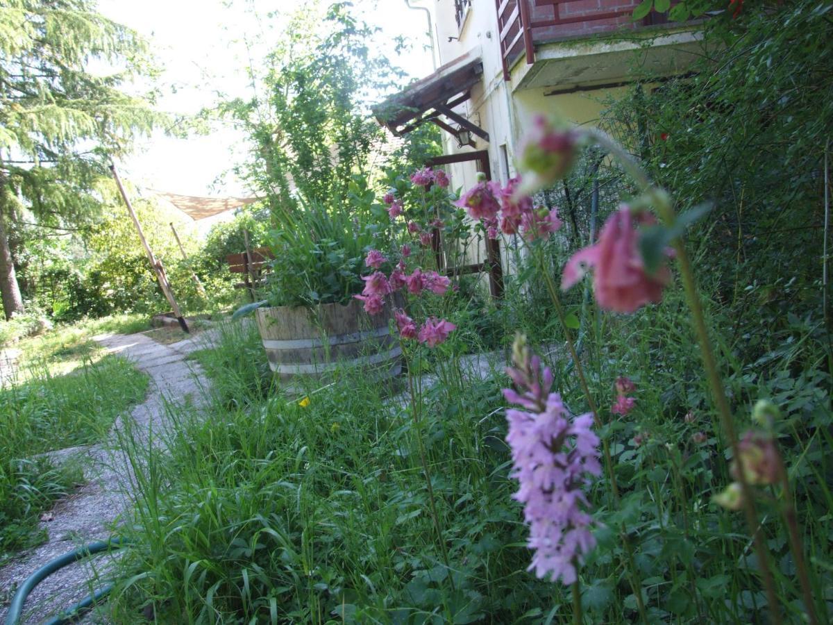 Vacanze Toscane In The Country - Villa Agrifogli Sassetta Esterno foto