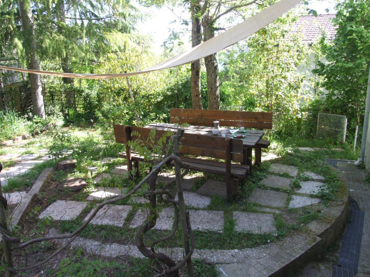Vacanze Toscane In The Country - Villa Agrifogli Sassetta Esterno foto