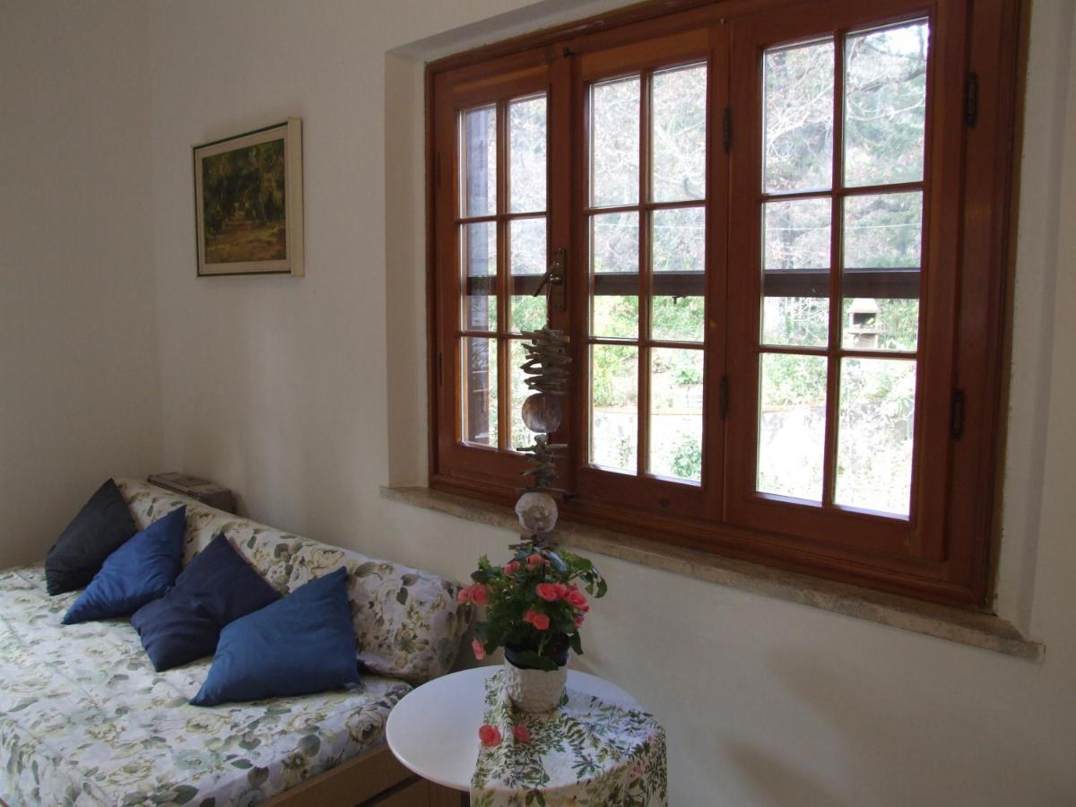 Vacanze Toscane In The Country - Villa Agrifogli Sassetta Esterno foto