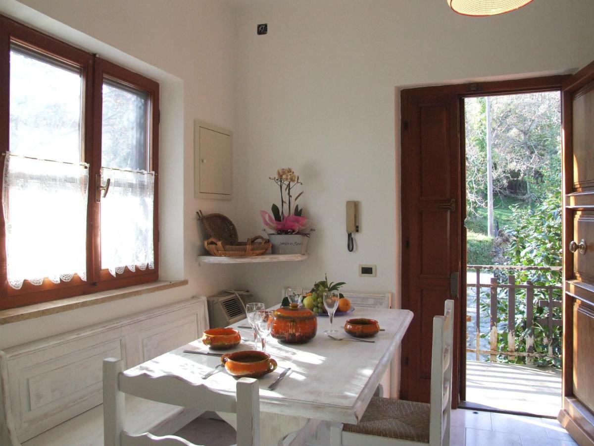 Vacanze Toscane In The Country - Villa Agrifogli Sassetta Esterno foto