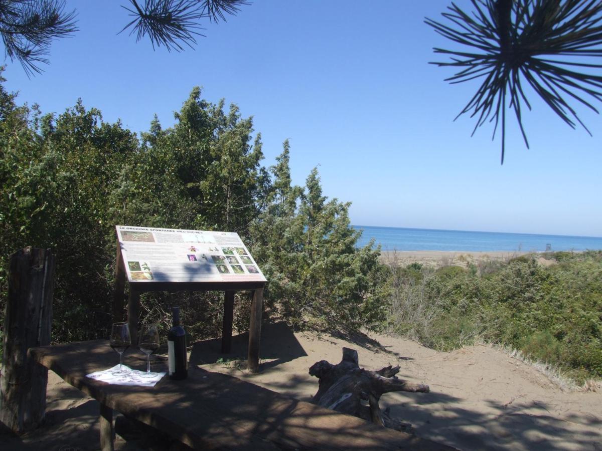 Vacanze Toscane In The Country - Villa Agrifogli Sassetta Esterno foto